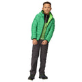 Field Green-Jasmine Green - Pack Shot - Regatta Childrens-Kids Marizion Hooded Padded Jacket