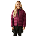 Tangerine Tango-Dark Pimento - Lifestyle - Regatta Childrens-Kids Marizion Hooded Padded Jacket