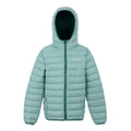 Green Haze-Spruce Green - Front - Regatta Childrens-Kids Marizion Hooded Padded Jacket
