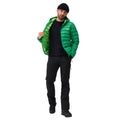 Field Green-Jasmine Green - Close up - Regatta Mens Marizion Baffled Hooded Padded Jacket