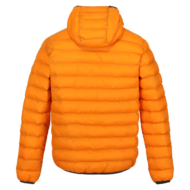 Orange Pepper-Burnt Copper - Back - Regatta Mens Marizion Baffled Hooded Padded Jacket