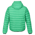 Field Green-Jasmine Green - Back - Regatta Mens Marizion Baffled Hooded Padded Jacket