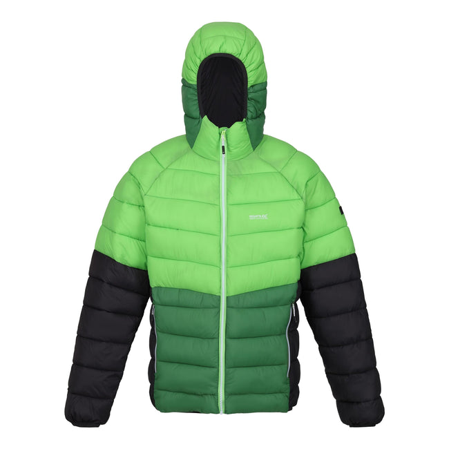 Jasmine Green-Field Green - Front - Regatta Mens Harrock II Baffled Padded Jacket