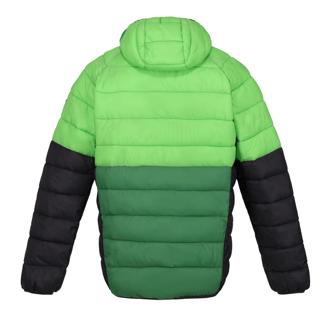 Jasmine Green-Field Green - Back - Regatta Mens Harrock II Baffled Padded Jacket