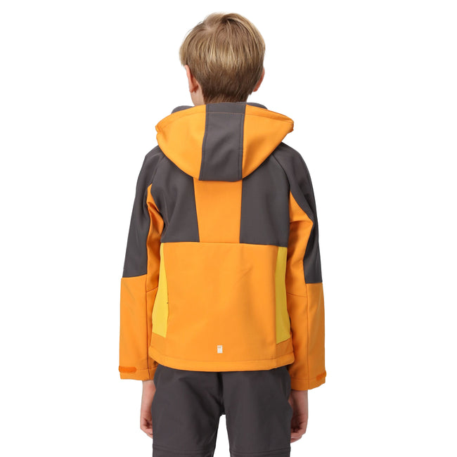 Orange Pepper-Seal Grey - Pack Shot - Regatta Childrens-Kids Haydenbury Soft Shell Jacket