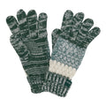 Dark Forest Green-Darkest Spruce - Front - Regatta Womens-Ladies Frosty VII Winter Gloves
