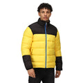 Solar-Black - Lifestyle - Regatta Professional Mens Insulated Puffer Jacket