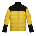 Solar-Black - Front - Regatta Professional Mens Insulated Puffer Jacket