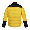 Solar-Black - Back - Regatta Professional Mens Insulated Puffer Jacket