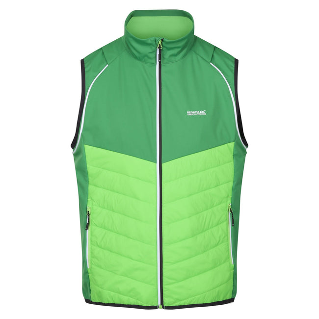 Field Green-Jasmine Green - Lifestyle - Regatta Mens Steren Hybrid Soft Shell Jacket