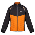 Orange Pepper-Ash - Front - Regatta Mens Steren Hybrid Soft Shell Jacket