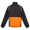 Orange Pepper-Ash - Back - Regatta Mens Steren Hybrid Soft Shell Jacket