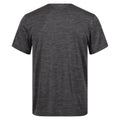 Seal Grey - Back - Regatta Professional Mens Moisture Wicking T-Shirt