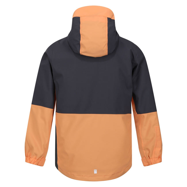 Apricot Crush-Seal Grey - Back - Regatta Childrens-Kids Hydrate VIII 3 In 1 Waterproof Jacket
