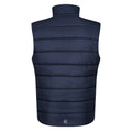 Navy-Seal Grey - Back - Regatta Professional Mens Thermal Body Warmer
