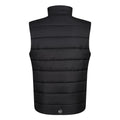 Black-New Royal - Back - Regatta Professional Mens Thermal Body Warmer