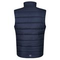 Navy-French Blue - Back - Regatta Professional Mens Thermal Body Warmer