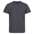 Seal Grey - Front - Regatta Professional Mens Cotton Soft Touch T-Shirt