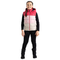 Berry Pink-Pale Mauve - Pack Shot - Regatta Childrens-Kids Jolly Padded Gilet