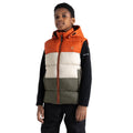 Rooibos Tea-Lichen Green - Lifestyle - Regatta Childrens-Kids Jolly Padded Gilet