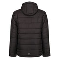 Black-New Royal - Back - Regatta Professional Mens Thermal Padded Jacket
