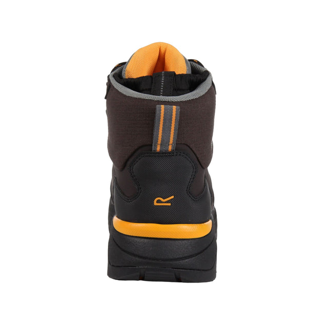 Chestnut-Black - Back - Regatta Professional Mens Safety Boots