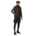 Black-Classic Red - Pack Shot - Regatta Professional Mens Quilted Hybrid Gilet