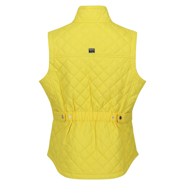 Maize Yellow - Back - Regatta Womens-Ladies Carmine Gilet