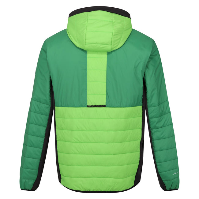 Jasmine Green-Field Green - Back - Regatta Mens Trutton II Baffled Padded Jacket