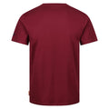 Burgundy - Back - Regatta Professional Mens Cotton T-Shirt