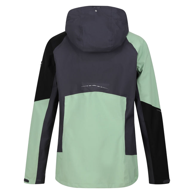 Quiet Green-Seal Grey - Back - Regatta Womens-Ladies Carletta VIII 2 in 1 Waterproof Jacket