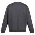 Seal Grey - Back - Regatta Professional Mens Crew Neck Sweatshirt