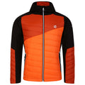Puffins Orange-Rooibos Tea - Front - Dare 2B Mens Touring Contrast Panel Hybrid Jacket