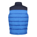 Strong Blue-Navy - Back - Regatta Professional Mens Colour Block Gilet