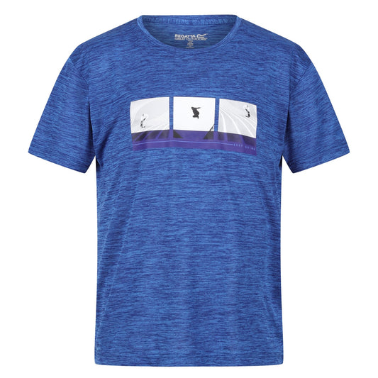 Strong Blue - Front - Regatta Childrens-Kids Findley Graphic Print Marl T-Shirt