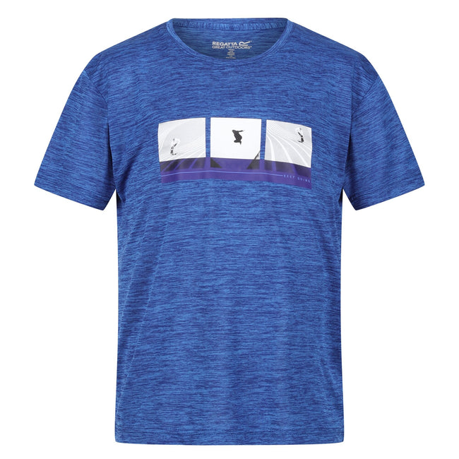 Strong Blue - Front - Regatta Childrens-Kids Findley Graphic Print Marl T-Shirt