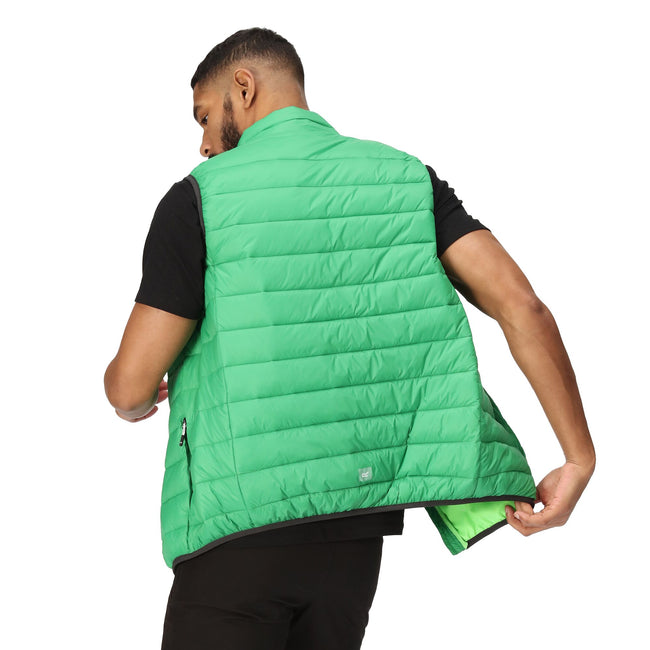 Field Green-Jasmine Green - Pack Shot - Regatta Mens Marizion Quilted Gilet