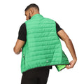 Field Green-Jasmine Green - Pack Shot - Regatta Mens Marizion Quilted Gilet