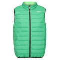 Field Green-Jasmine Green - Front - Regatta Mens Marizion Quilted Gilet