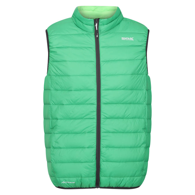 Field Green-Jasmine Green - Front - Regatta Mens Marizion Quilted Gilet