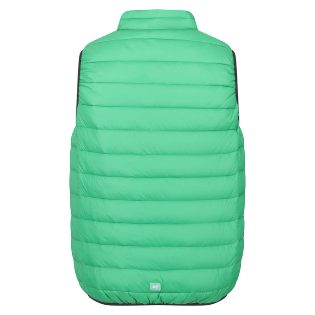 Field Green-Jasmine Green - Back - Regatta Mens Marizion Quilted Gilet
