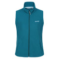 Gulfstream - Front - Regatta Great Outdoors Womens-Ladies Outdoor Classics Sweetness II Bodywarmer