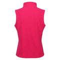 Pink Potion - Back - Regatta Great Outdoors Womens-Ladies Outdoor Classics Sweetness II Bodywarmer