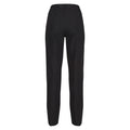 Black - Back - Regatta Womens-Ladies Dayhike IV Hiking Trousers