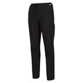 Black - Side - Regatta Womens-Ladies Dayhike IV Hiking Trousers