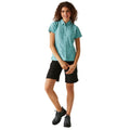 Bleached Aqua - Close up - Regatta Womens-Ladies Mindano VIII Ditsy Print Short-Sleeved Shirt