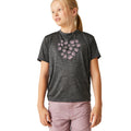 Seal Grey - Lifestyle - Regatta Childrens-Kids Alvardo VIII Paw Print Marl T-Shirt