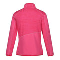 Flamingo Pink-Pink Potion - Back - Regatta Womens-Ladies Yare IX Lightweight Jacket