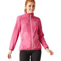 Flamingo Pink-Pink Potion - Lifestyle - Regatta Womens-Ladies Yare IX Lightweight Jacket