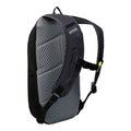 Black-Seal Grey - Back - Regatta Highton V2 25L Backpack